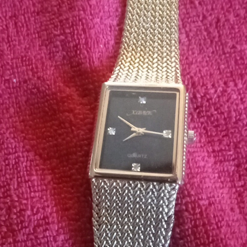 Xavier Masterpiece Genuine Diamonds Watch
